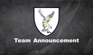 Team News | Llandovery v Swansea